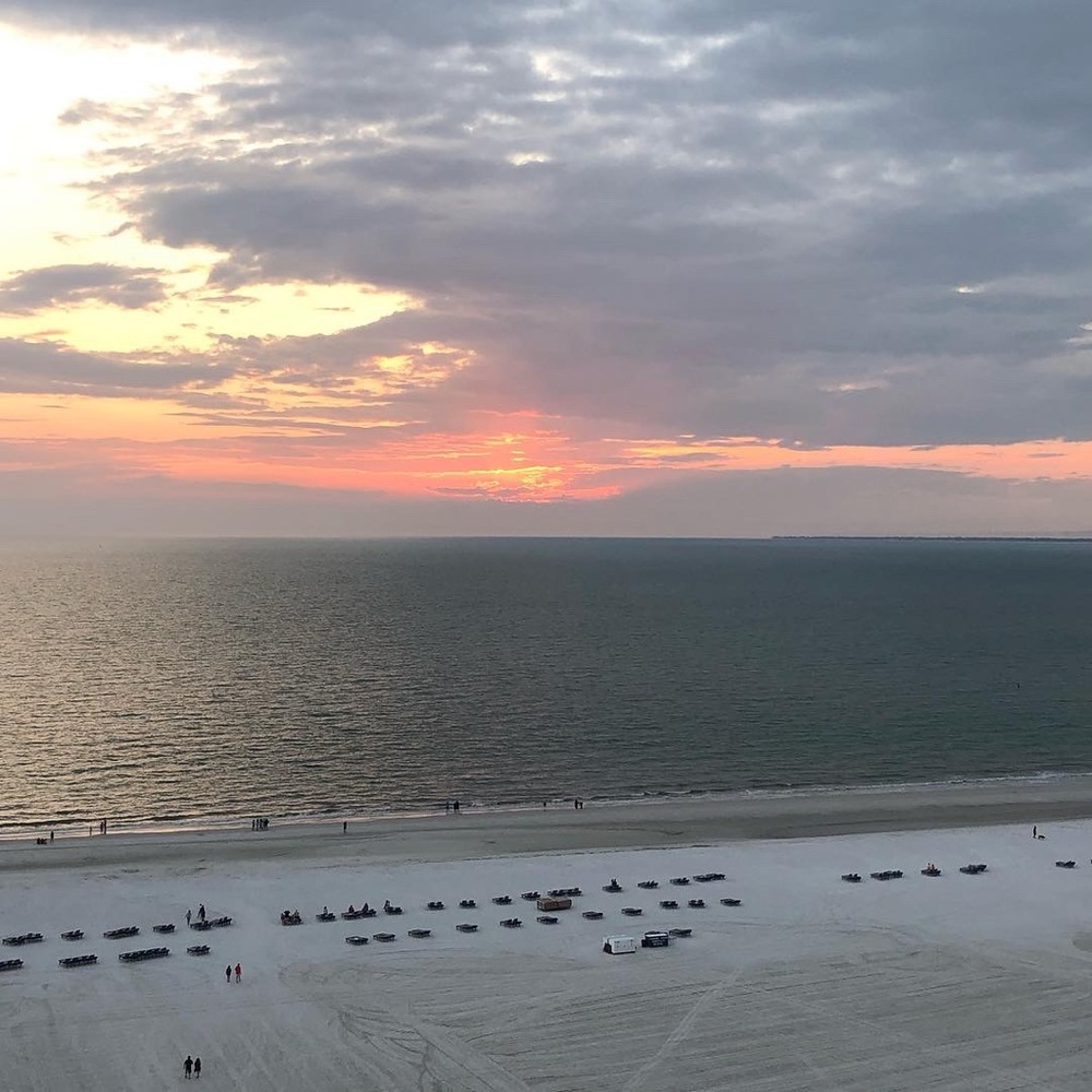 Meet your Posher, Paige